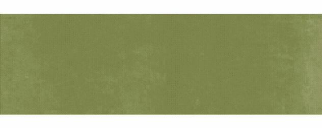 Bloom Shop Webshop banner Bloom website