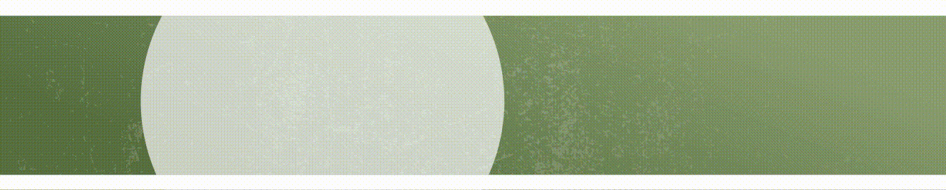 De Nieuwe Bloom is er! Bestel hem hier – Platte Banner 2025