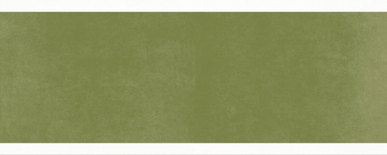 Word ook Bloomer en ontdek de voordelen Banner 2026 Gif