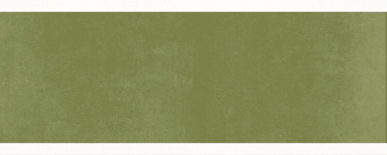 Word ook Bloomer en ontdek de voordelen Banner 2026 Gif