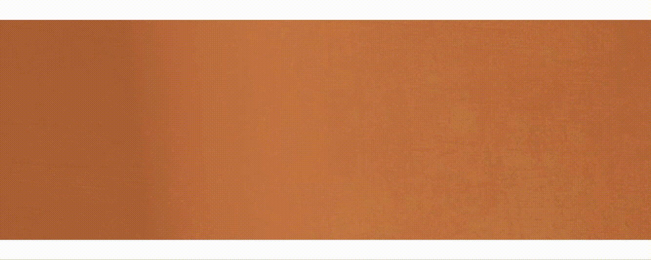 Word ook Bloomer en ontdek de voordelen Grote Banner 2026