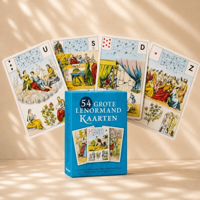 54 grote Lenormand kaarten Erna Droesbeke Bloom 9789072189318