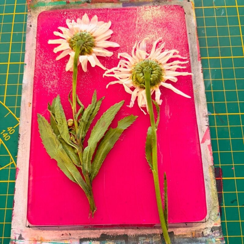 Blogberichten 55 Workshop Gelprint 2026 Bloom Web 3