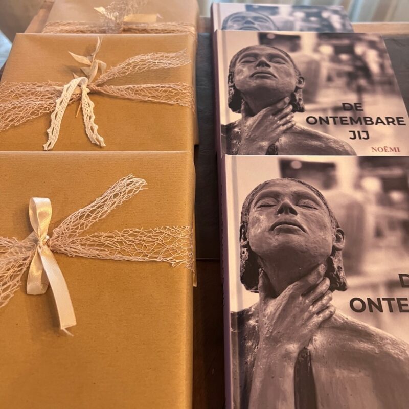 De ontembare jij Noemi Romagnoli visual artikel Bloom 2