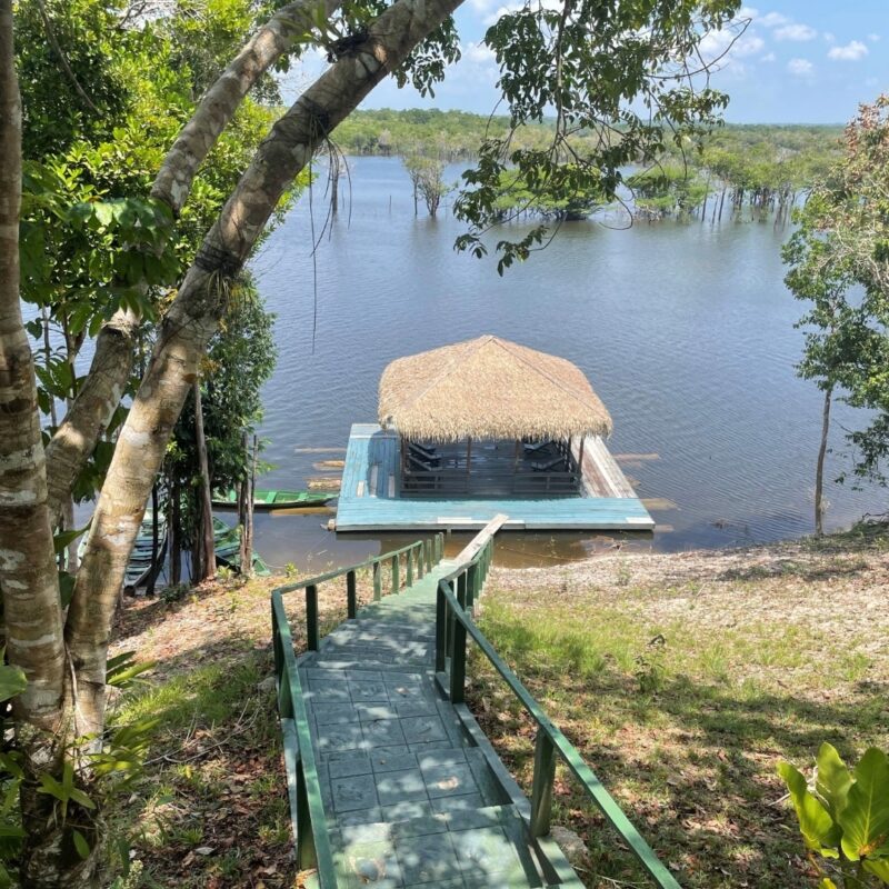 Earth Heart artikel Bloom Ton van der Kroon Anne Wislez 5