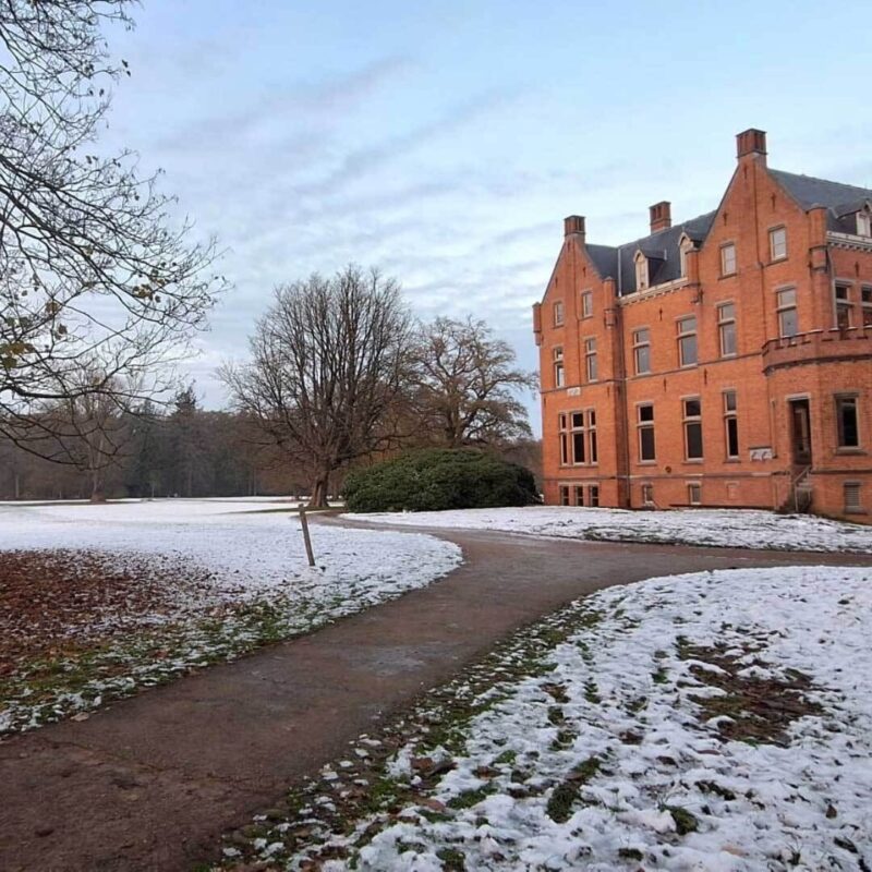 Orion Artikel Bloom4