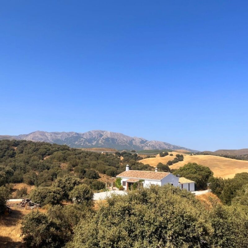 Reiki Retreat Andalusië juni 2026 11