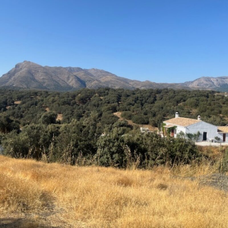 Reiki Retreat Andalusië juni 2026 2