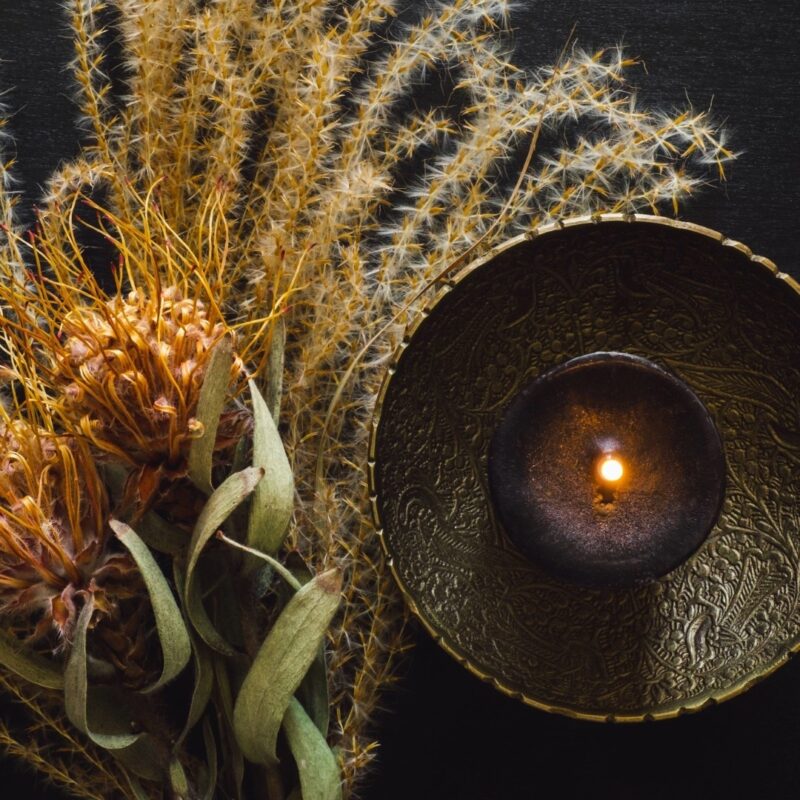 Samhain 31 oktober jaarfeest artikel Bloom visual 3