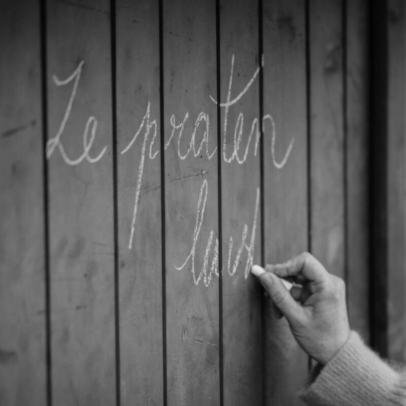 Silvia Dello Boekentip Bloom 5 visual artikel Bloom online 4