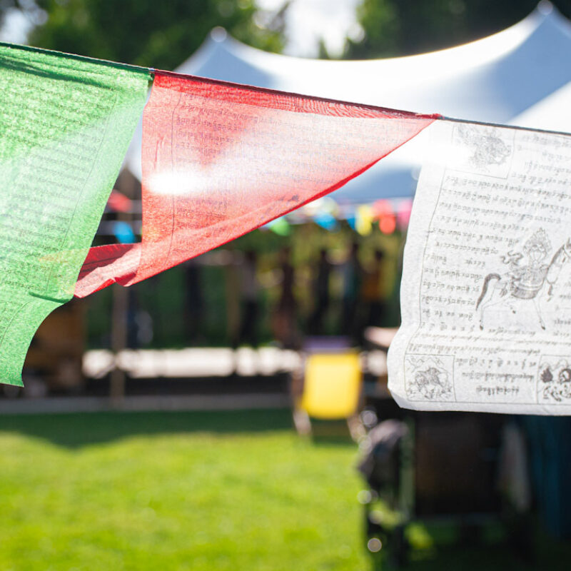 Summer Bloom Festivals Sfeerfotos 2025 24