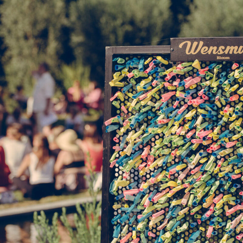 Summer Bloom Festivals Sfeerfotos 2025 47