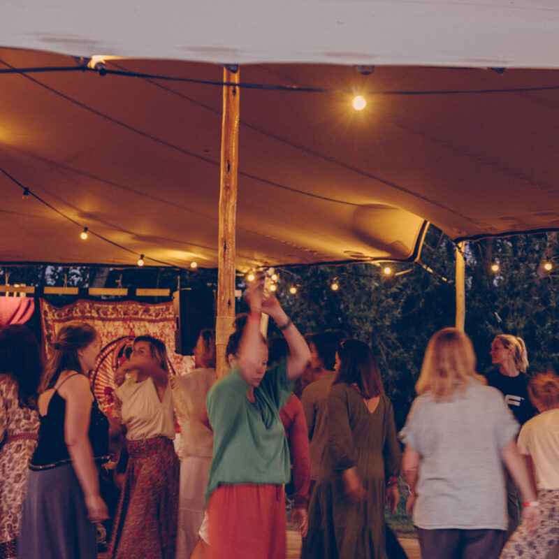 Summer Bloom Festivals Sfeerfotos 2025 51