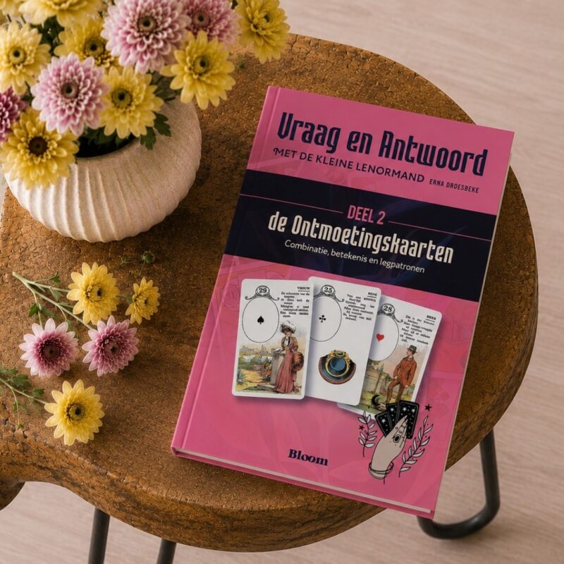 Vraag en Antwoord Ontmoetingskaarten deel 2 Erna Droesbeke Bloom Webshop 9789072189394