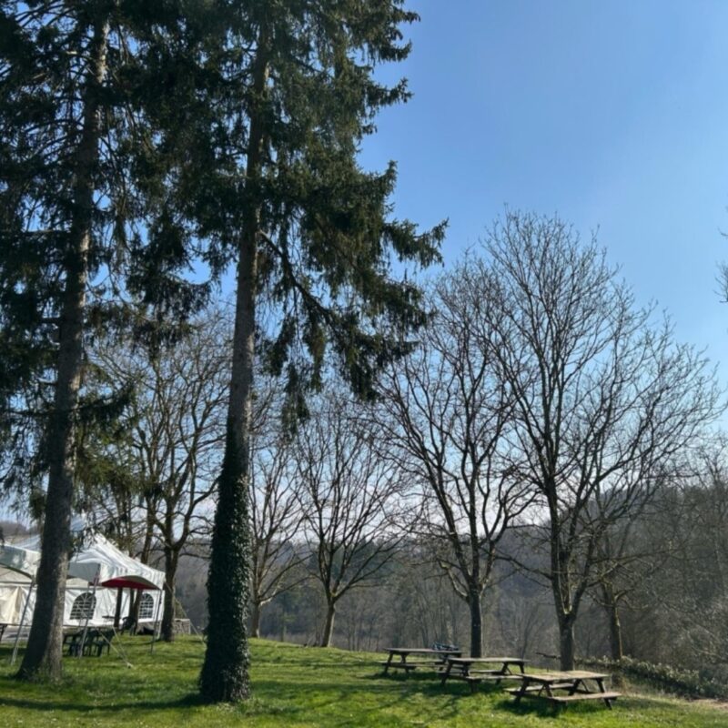 Yoga Retreats Durbuy Alexander Odent 1