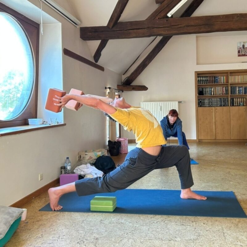 Yoga Retreats Durbuy Alexander Odent 2