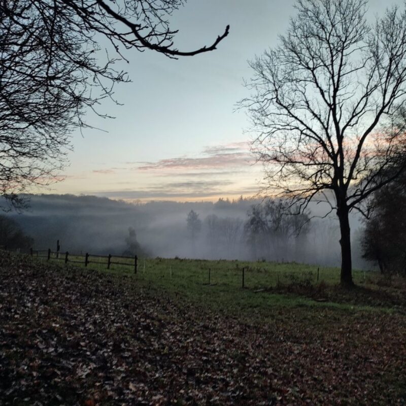 Yoga Retreats Durbuy Alexander Odent 4