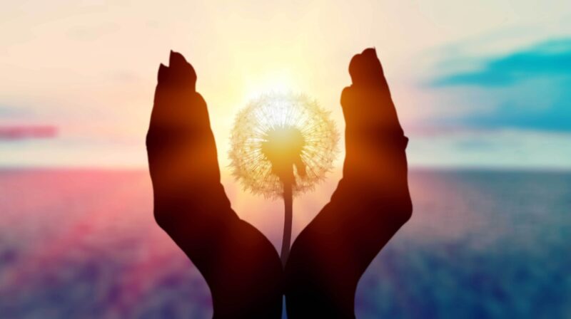 Kom dichter bij je ware Zelf Bloom