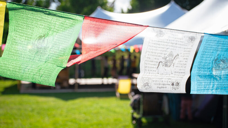 Summer Bloom Festivals Sfeerfotos 2025 24