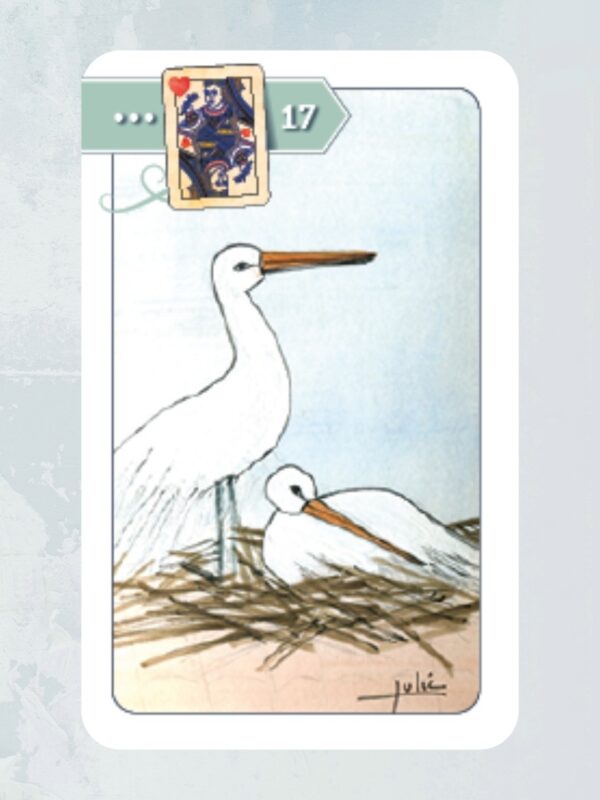 Angels Blessed 17 Kaart 17 De Ooienvaar