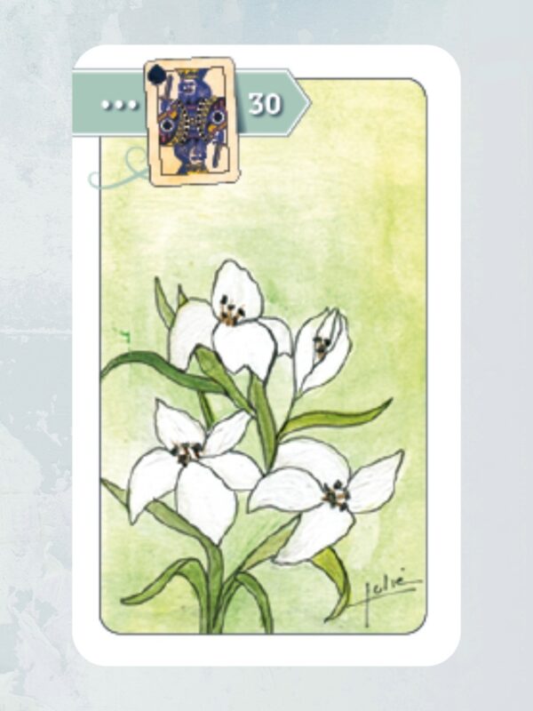 Angels Blessed 34 Kaart 30 De Lelie