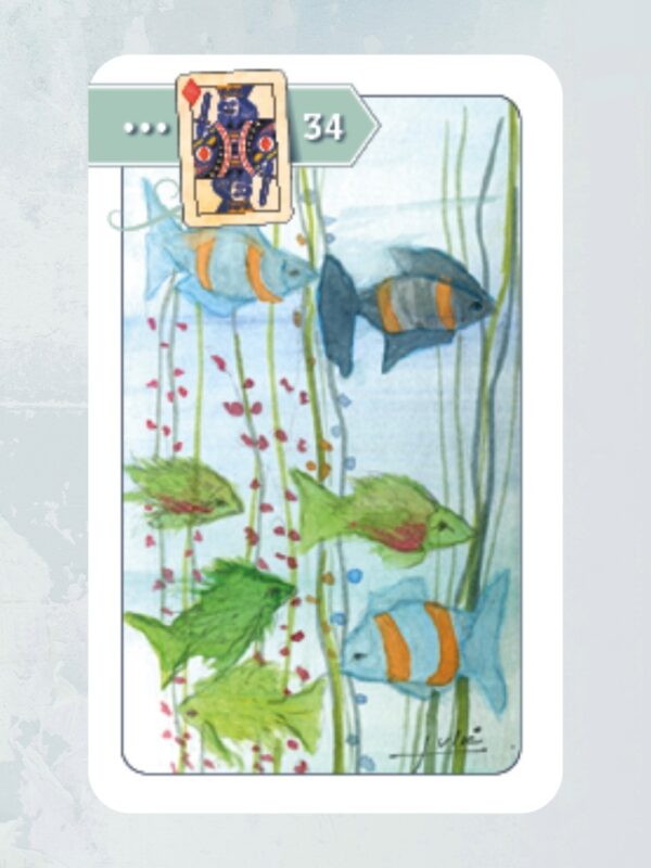 Angels Blessed 38 Kaart 34 De Vissen