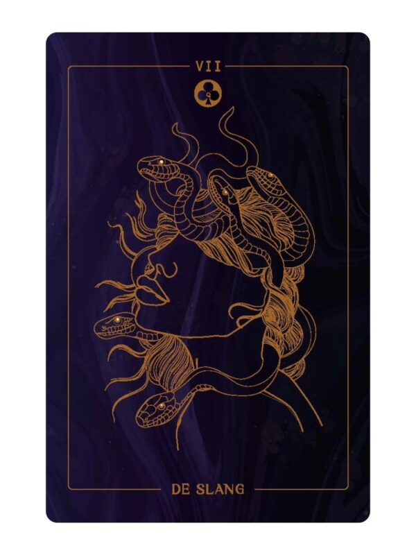 Kaart 7 de Slang
