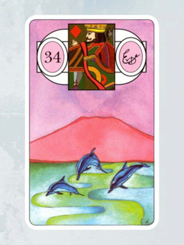 Kaart De Vissen Lenormand Waarzegkaarten Erna Droesbeke Bloom Webshop