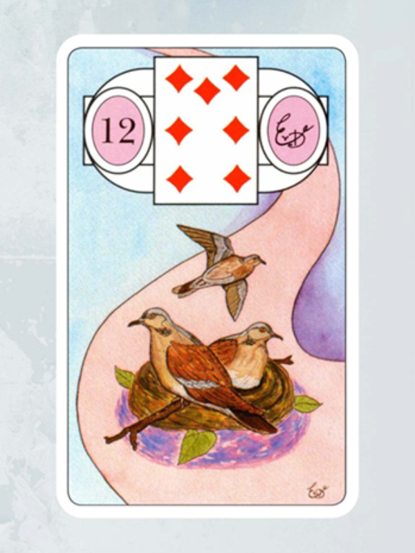 Kaart De Vogels Lenormand Waarzegkaarten Erna Droesbeke Bloom Webshop