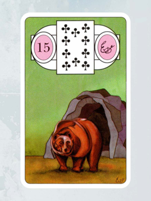 Kaart De Beer Lenormand Waarzegkaarten Erna Droesbeke Bloom Webshop