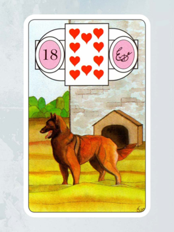 Kaart De Hond Lenormand Waarzegkaarten Erna Droesbeke Bloom Webshop