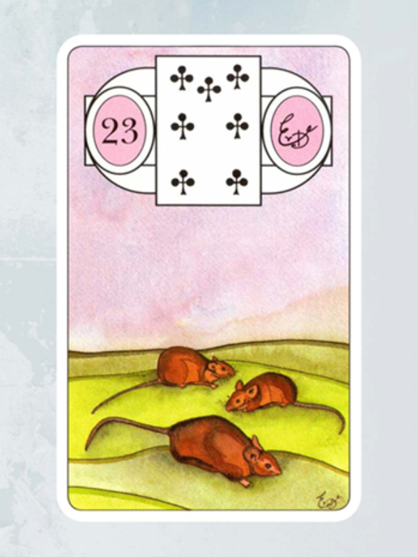 Kaart De Muizen Lenormand Waarzegkaarten Erna Droesbeke Bloom Webshop