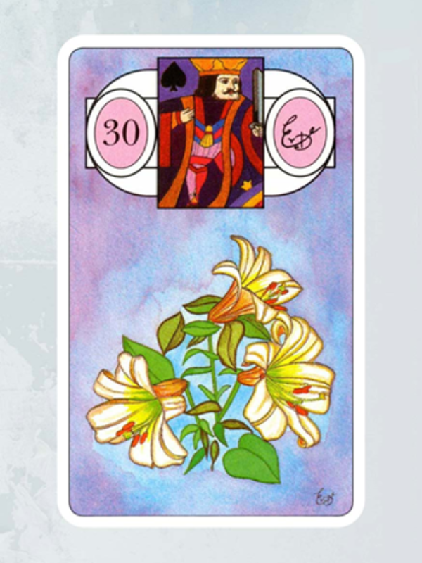 Kaart De Lelies Lenormand Waarzegkaarten Erna Droesbeke Bloom Webshop
