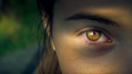 3 tips goed te kunnen focussen Oshin Van Der Hansz artikel Bloom