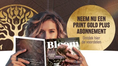 Print GOLD Plus