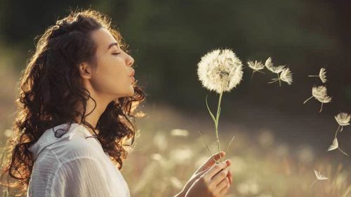 Allergie hooikoorts natuurlijke remedies Bloom web