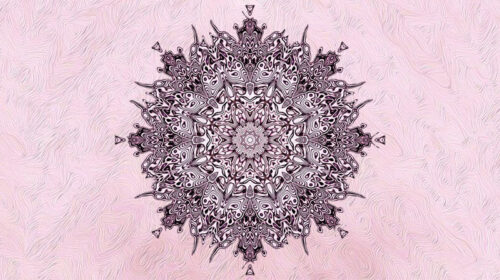 Ayahuasca getuigenis trip Bloom web