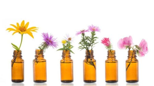 Bachbloesem therapie natuurlijke geneeskunde Bloom web