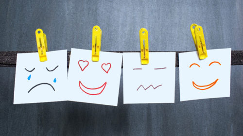 Bachbloesems voor elke sterrenbeeld emoties Bloom web