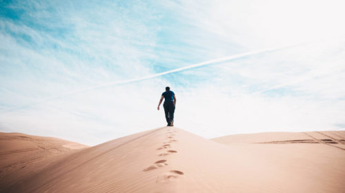 Banden Smeden Die De Tijd Doorstaan Bloom Web