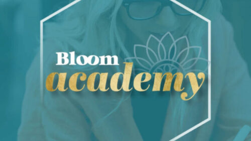 Bloom Academy header