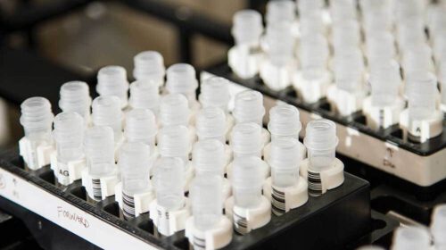 Bloom DNA Testen Whitepress Online September 2022