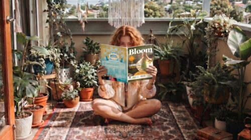 Bloom SEO website template NIEUW Bloom editie