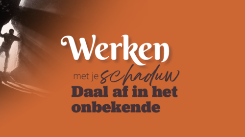 Werken Met Je Schaduw Bloom Online 2208