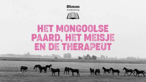 Boekreview Hesther Selbeck Mongools Paard Online 2108