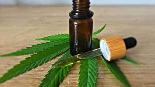 CBD Gastpost Online Bloom Augustus 2021