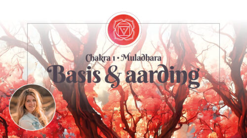 Chakra 1 Muladhara Bloom 2301 Special Klein
