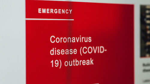 Corona virus covid 19 mondmasker monkapje nut Bloom web