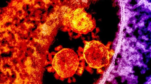 Coronavirus Saturnus Pluto Bloom web