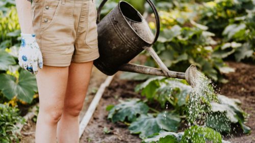 De gezondheidsvoordelen van tuinieren ADV header artikel Bloom web